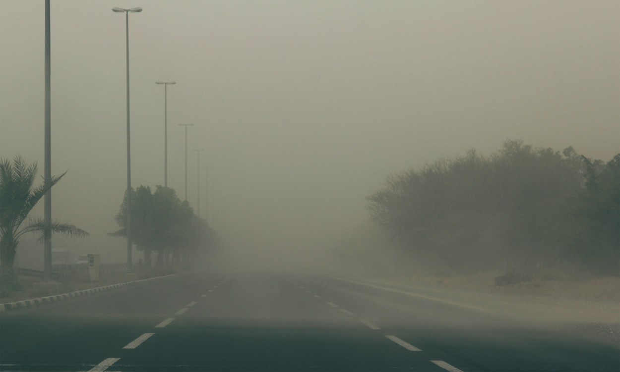 foggy road